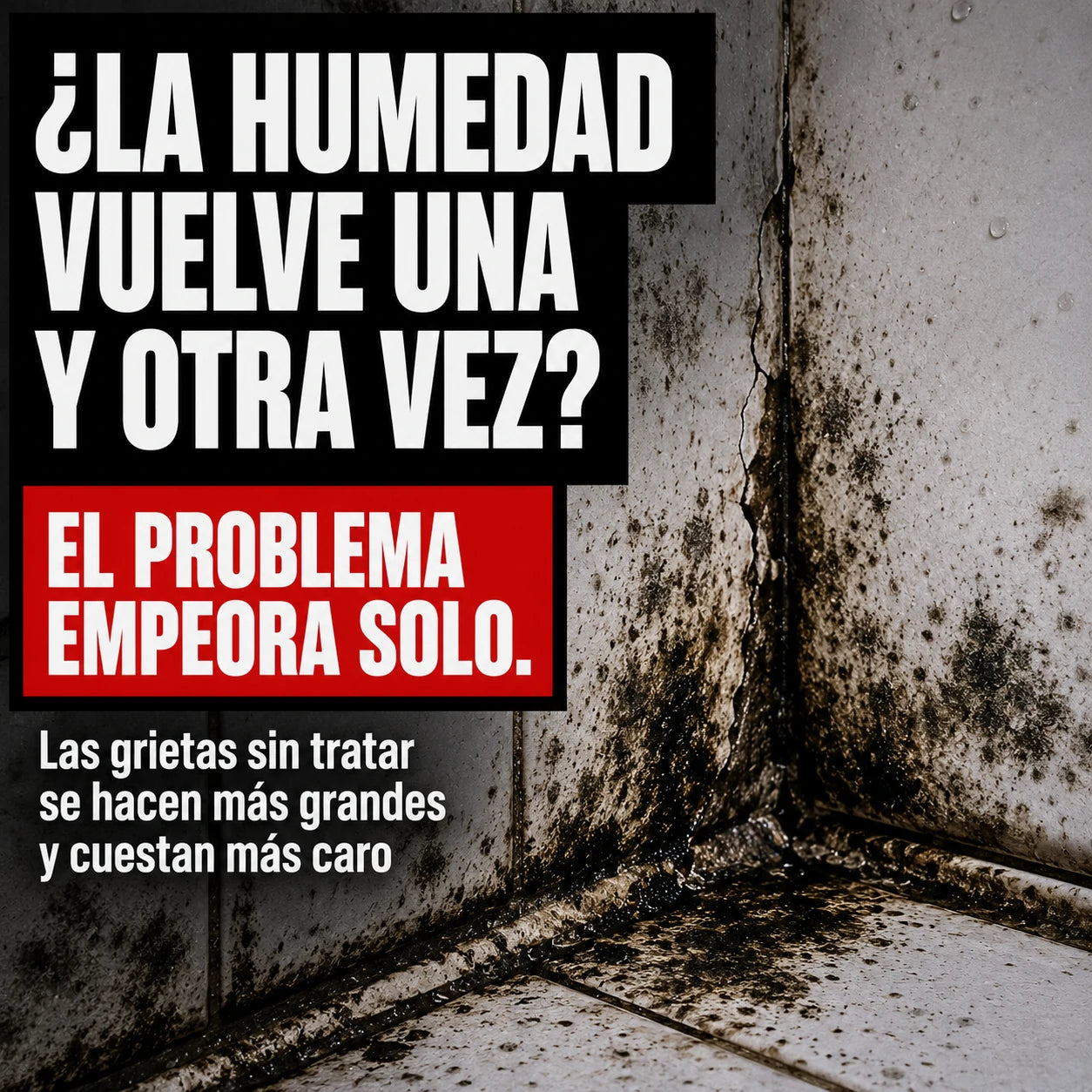 Spray SelleTodo, sella goteras y grietas en minutos con una aplicación rápida y efectiva